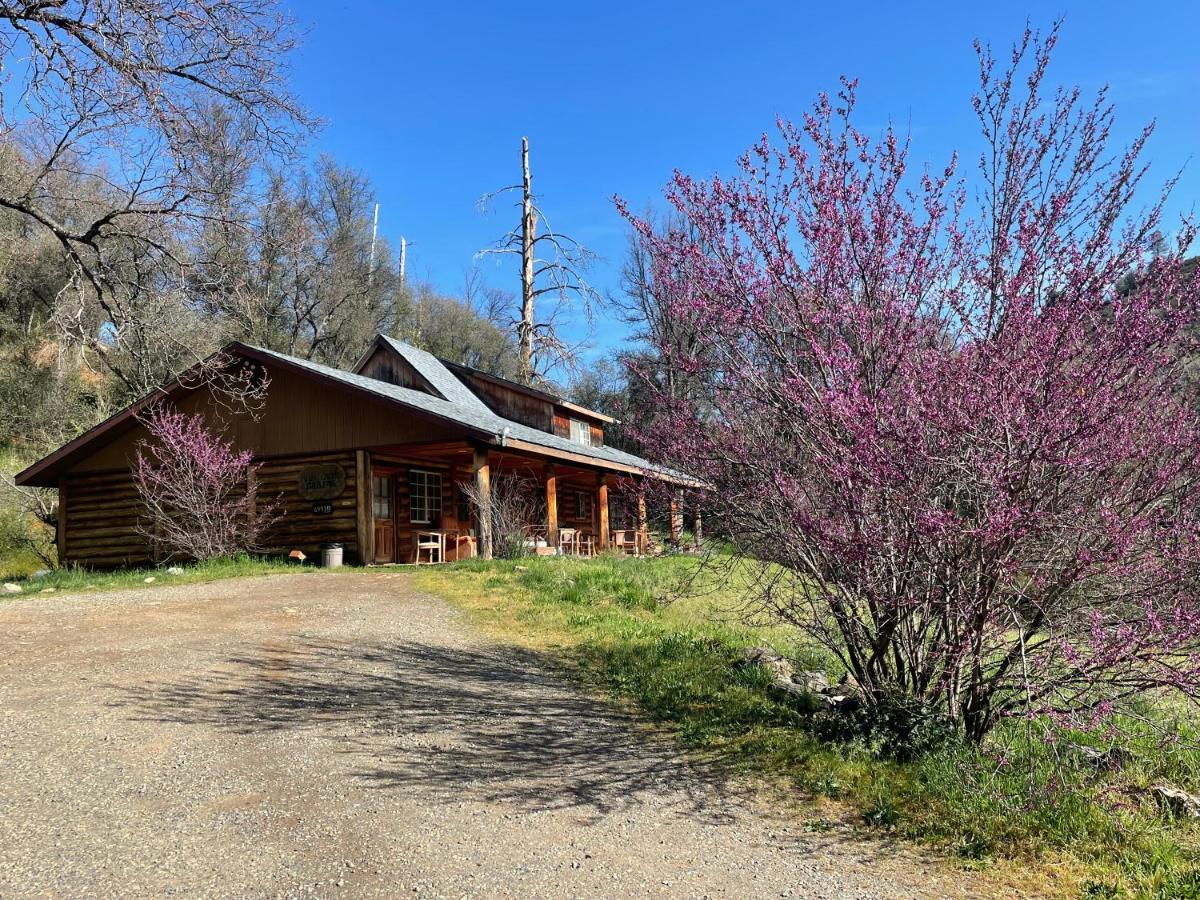 Bear Creek Cabins Midpines Exterior photo