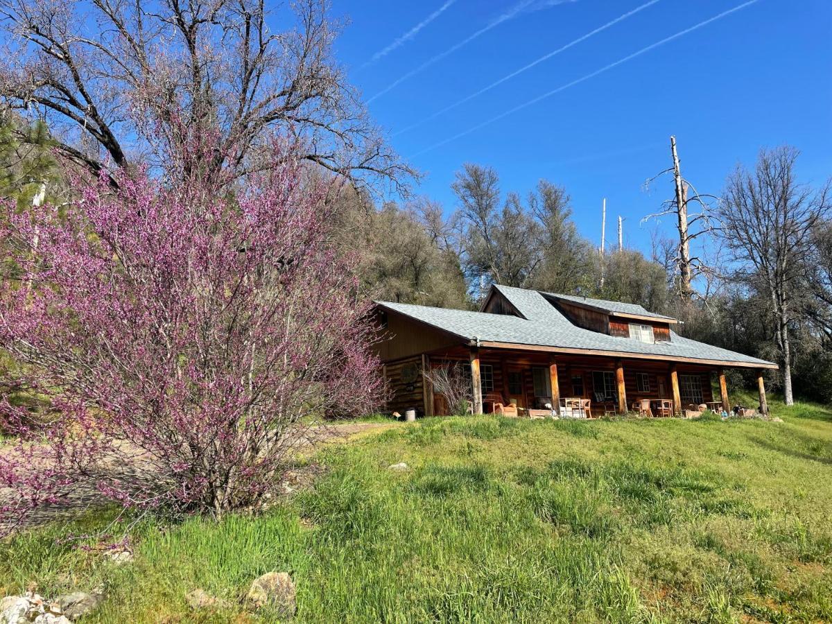 Bear Creek Cabins Midpines Exterior photo